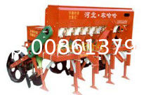Planta de trigo de la serie 2BXF con fertilizante